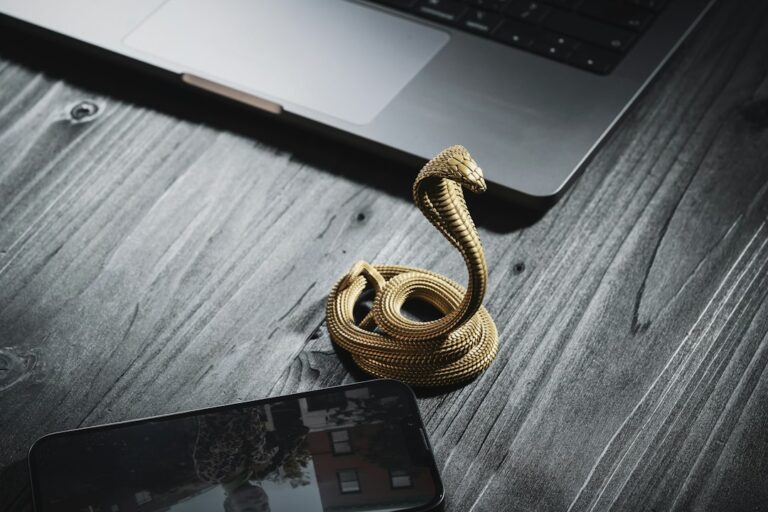 The Best USB Accessories to Boost Your Productivity Today